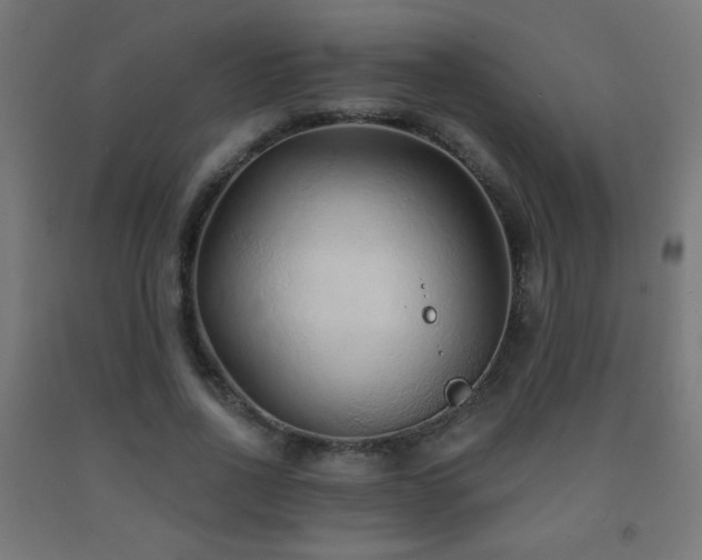 X0000093140734200709261424