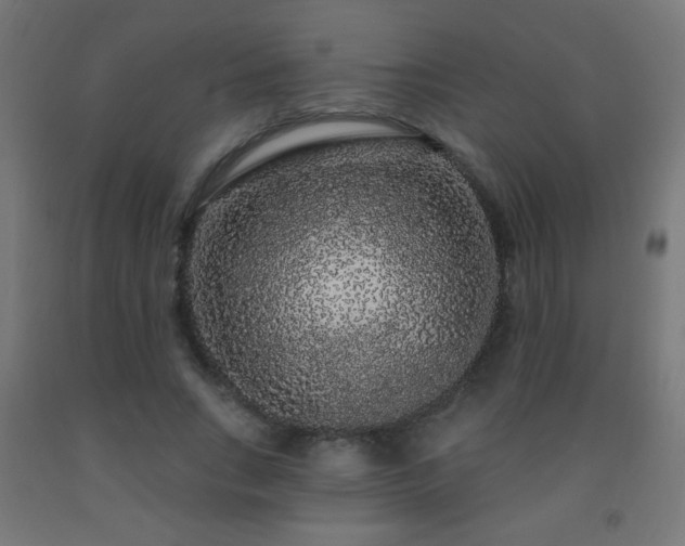 X0000093140735200709261424