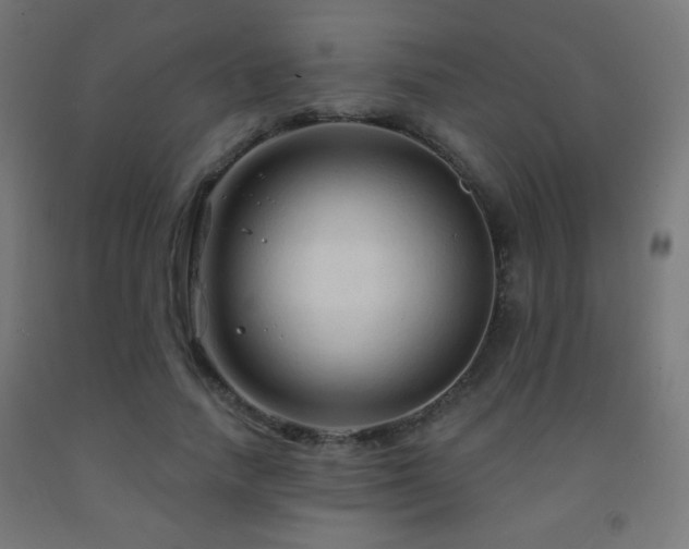 X0000093140738200709261424