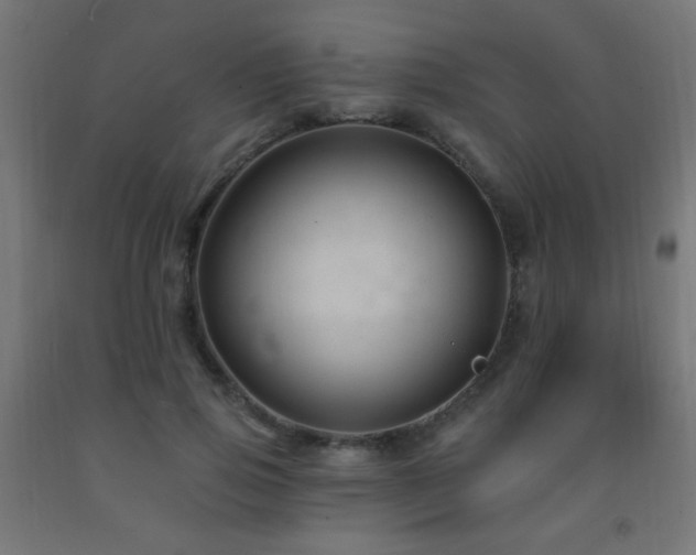 X0000093140741200709261424