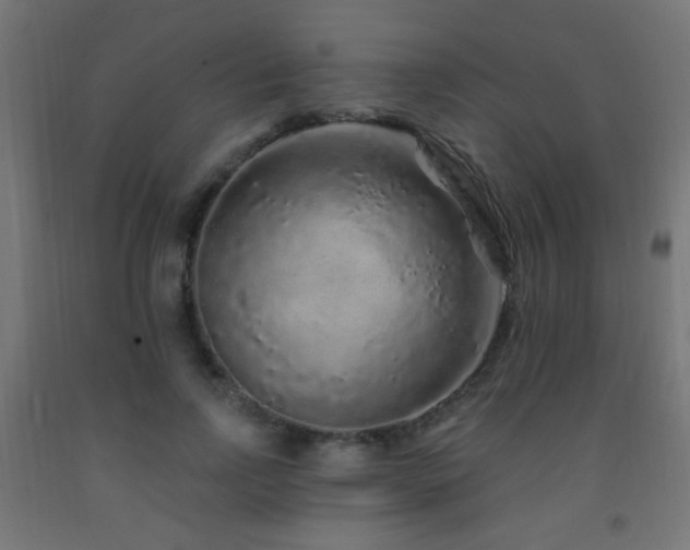 X0000093140742200709261424
