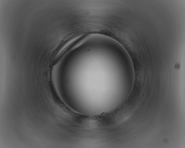 X0000093140743200709261424