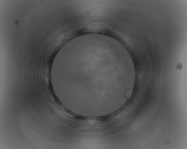 X0000093140745200709261424