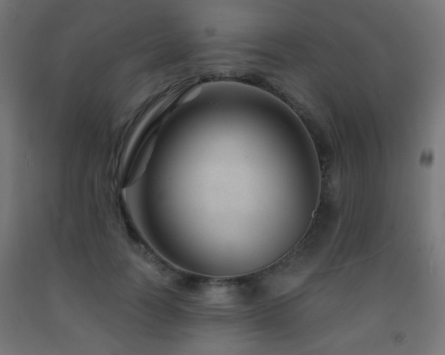X0000093140746200709261424