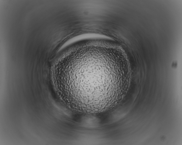 X0000093140747200709261424