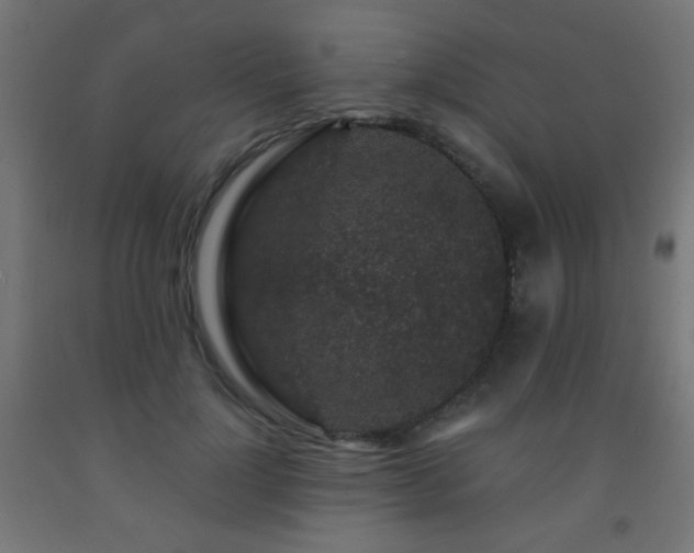 X0000093140748200709261424