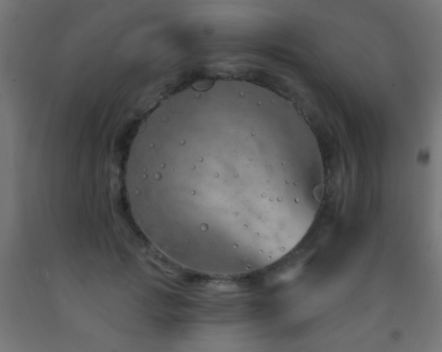 X0000093140749200709261424