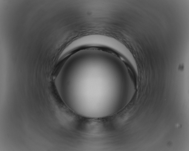 X0000093140750200709261424