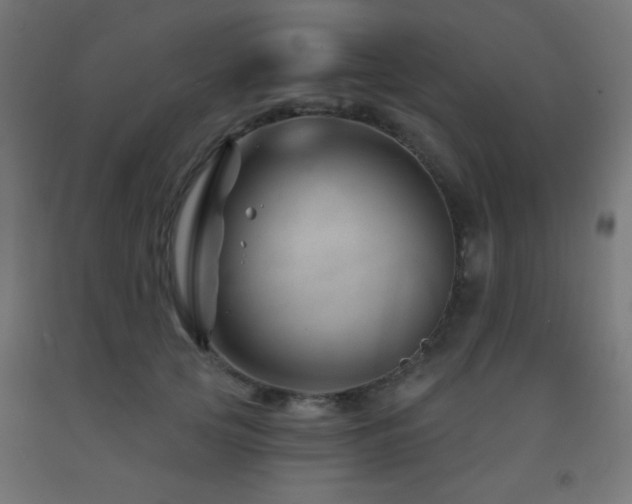 X0000093140753200709261424