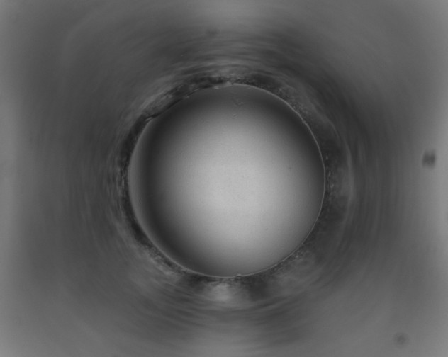 X0000093140755200709261424