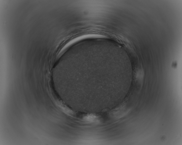 X0000093140759200709261424