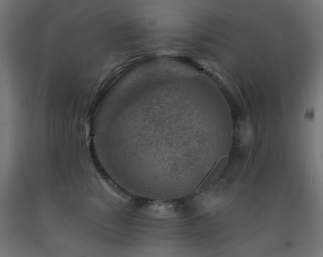 X0000093140760200709261424