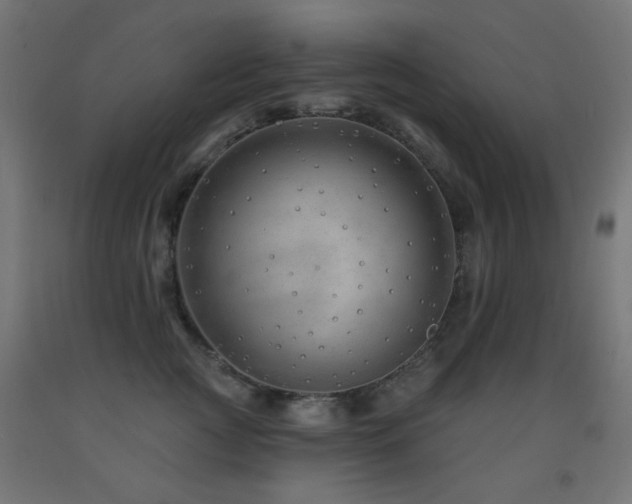 X0000093140761200709261424