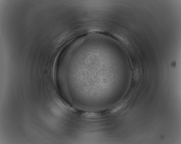 X0000093140766200709261424