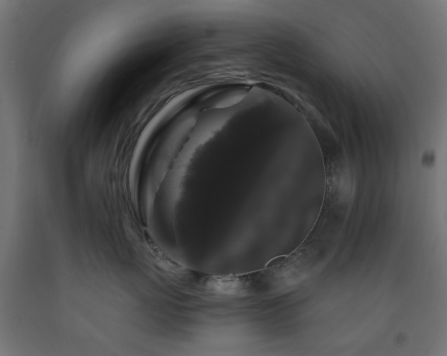 X0000093140767200709261424