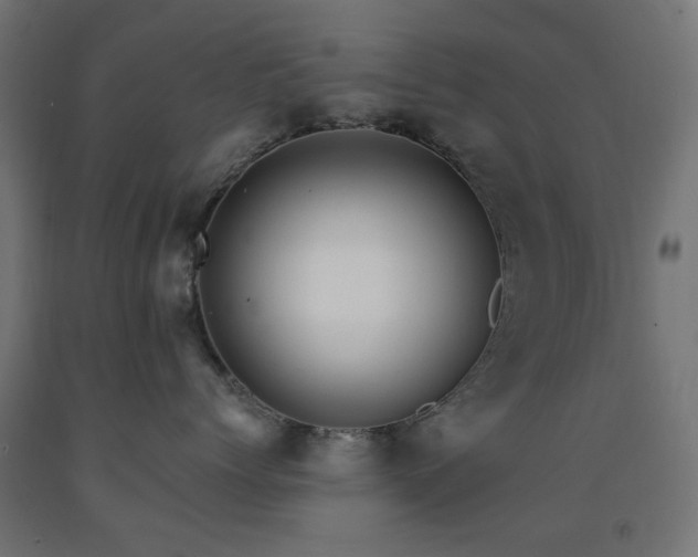 X0000093140768200709261424