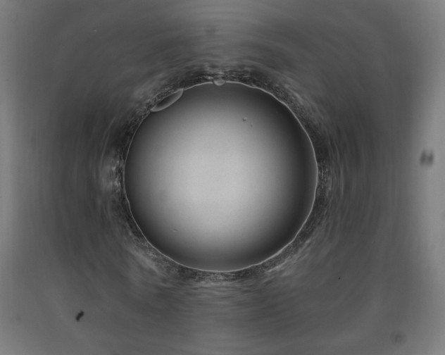 X0000093140770200709261424