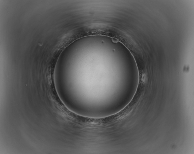 X0000093140771200709261424