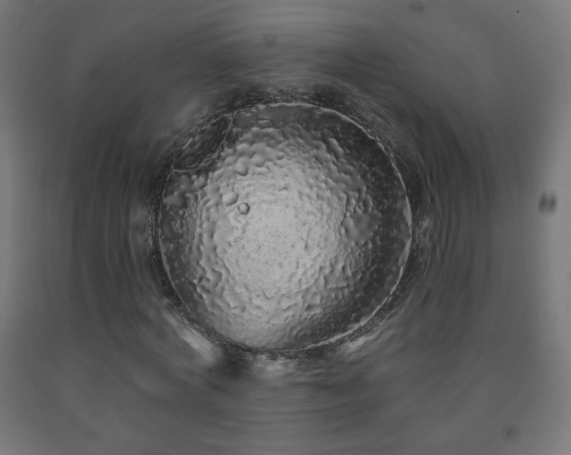 X0000093140772200709261424