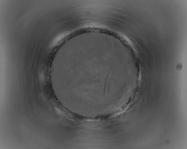 X0000093140775200709261424