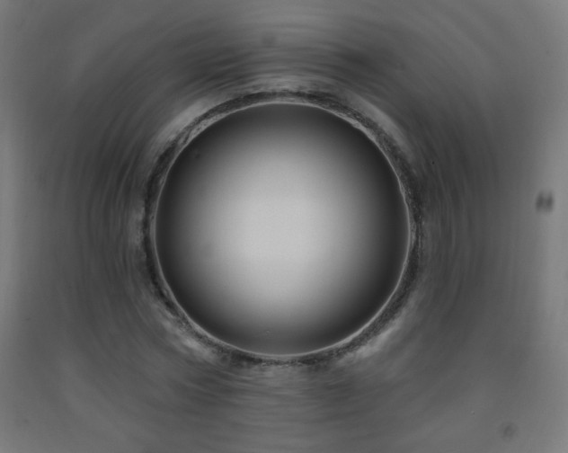 X0000093140778200709261424