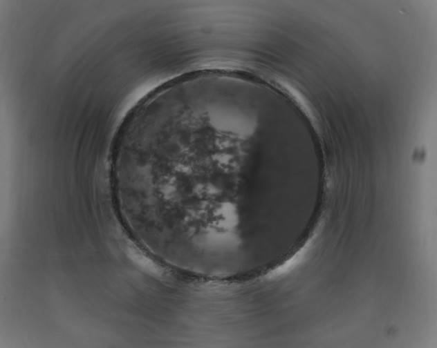 X0000093140779200709261424