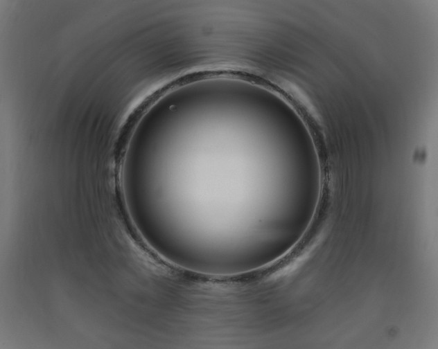 X0000093140781200709261424