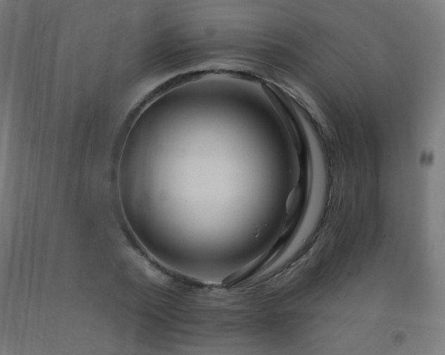 X0000093140784200709261424