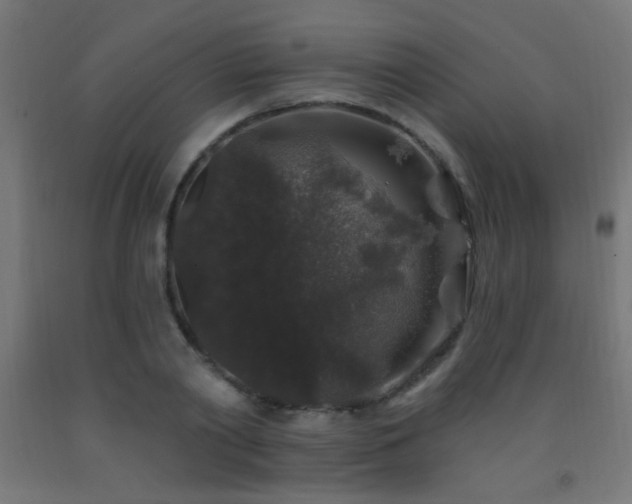 X0000093140790200709261424