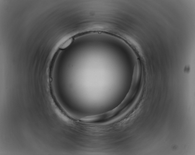 X0000093140792200709261423