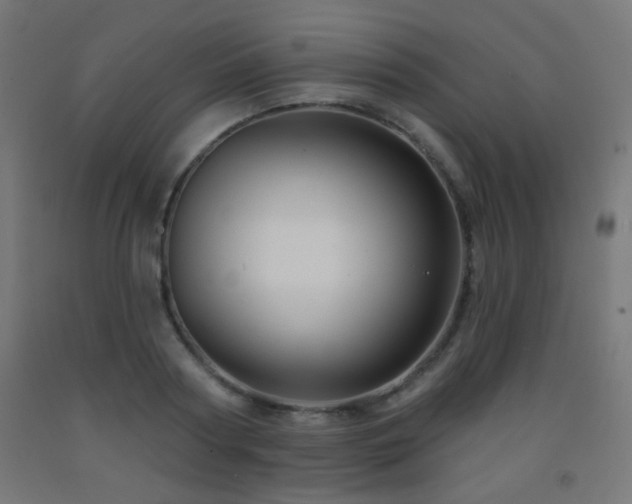 X0000093140794200709261423