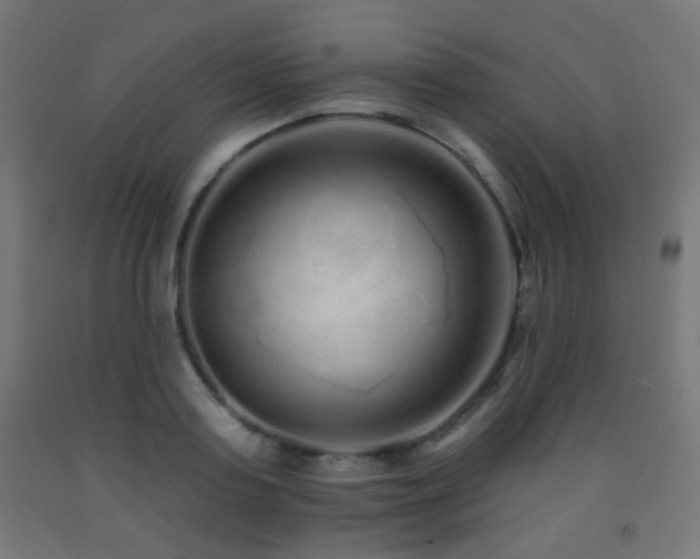 X0000093140795200709261423