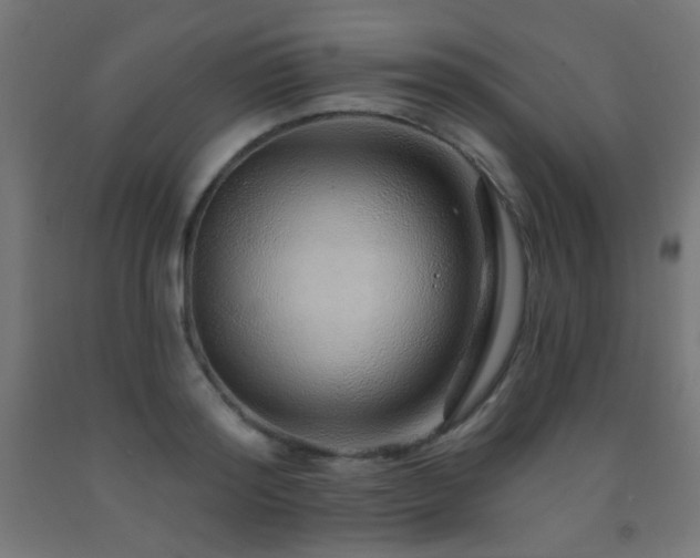 X0000093140796200709261423