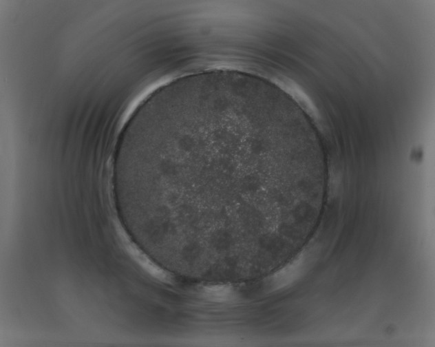 X0000093140798200709261423