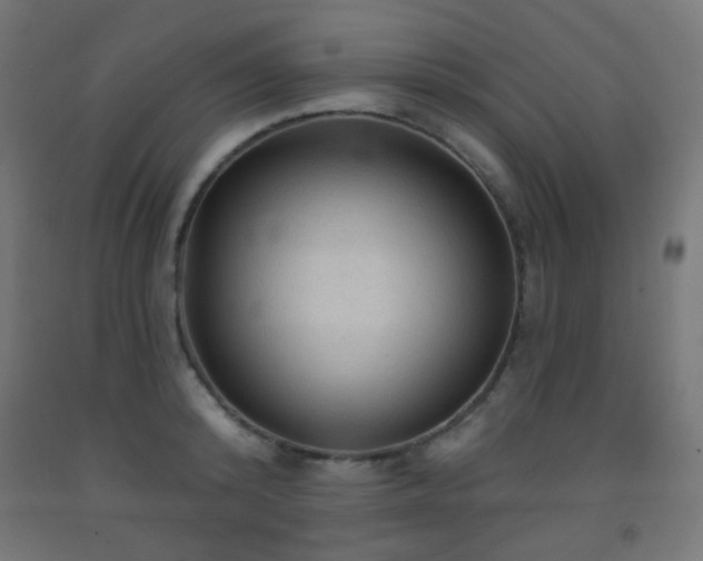 X0000093140800200709261423
