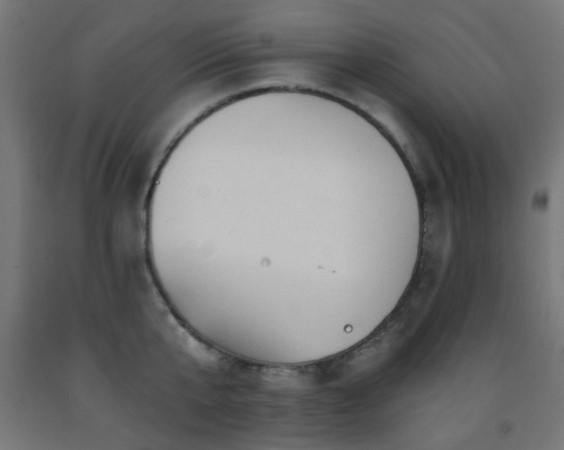 X0000093140807200709261423