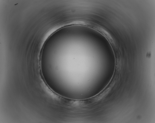 X0000093140808200709261423