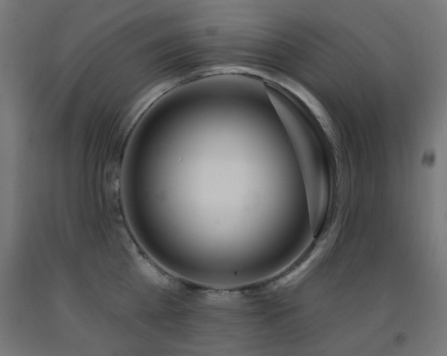 X0000093140809200709261423