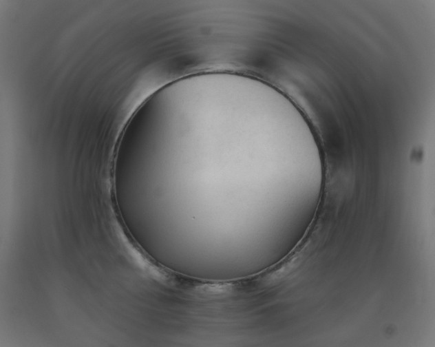 X0000093140810200709261423