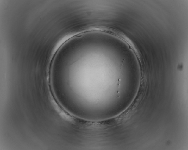 X0000093140811200709261423