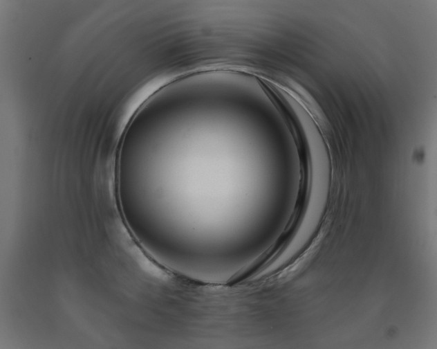 X0000093140812200709261423