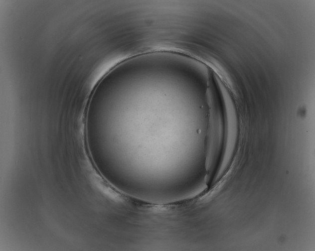X0000093140814200709261423