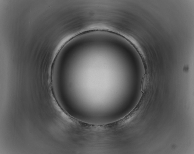 X0000093140815200709261423