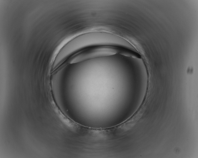 X0000093140816200709261423