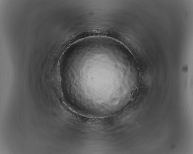 X0000093140817200709261422