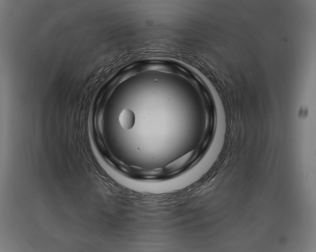 X0000093140818200709261422