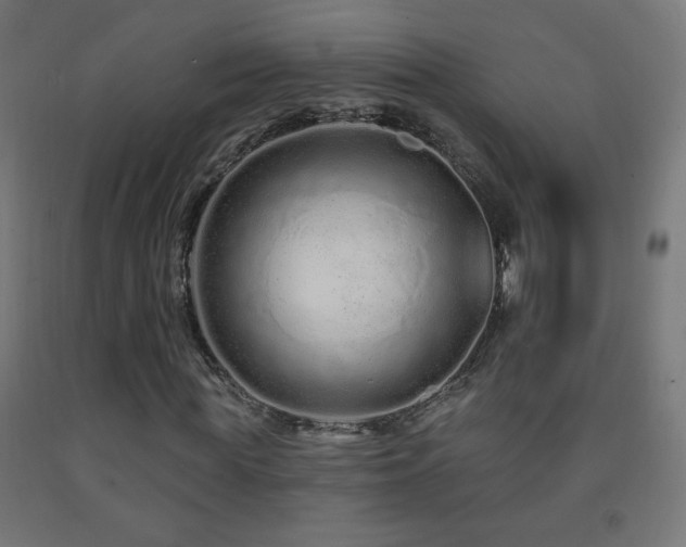 X0000093140819200709261422