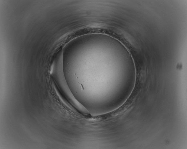 X0000093140821200709261422