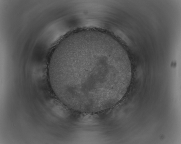 X0000093140824200709261422