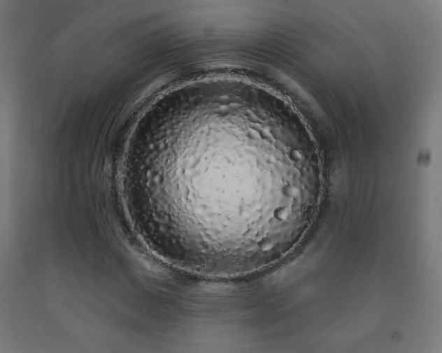 X0000093140825200709261423